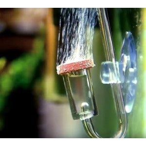 Neo Diffuser Original Clip L - dyfuzor CO2 z kolankiem