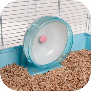 Furrever Friends Olympic Wheel Blue - kołowrotek z łożyskiem kulkowym