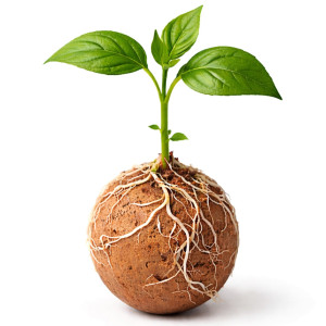 Kruger Meier ProNature Ball 5 - kulki nawozowe z biostymulatorem