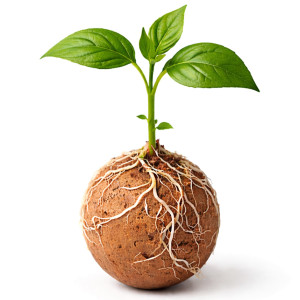 Kruger Meier ProNature Ball 15 - kulki nawozowe z biostymulatorem