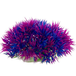 Kruger Meier Como Aquarium 16l - Gotowy zestaw akwarystyczny