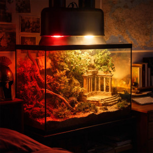 Terrario DUORAY 2.0 - podwójna lampa do terrarium