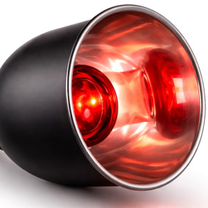 Terrario LUNOONE 2.0 - lampa do terrarium