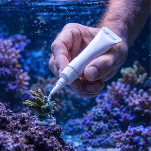 Kruger Meier Reeficon Gel 20g - klej do koralowców