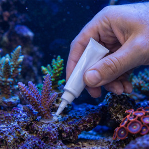 Kruger Meier Reeficon Gel 20g - klej do koralowców
