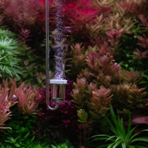 Neo Diffuser Special Extend L white - dyfuzor CO2 25mm do akwarium