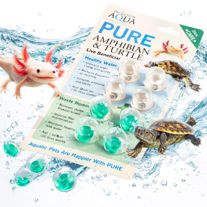 Evolution Aqua PURE Amphibian & Turtle - biologiczne czyszczenie akwarium