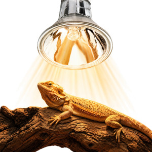 Terrario Nadara Pro 50W - halogen grzewczy do terrarium