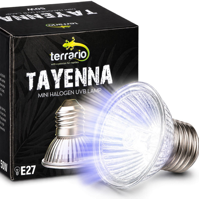 Terrario Tayenna 50W - mini halogen UVB