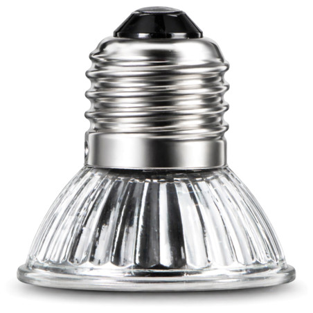 Terrario Tayenna 50W - mini halogen UVB
