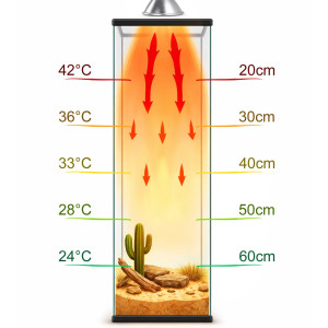 Terrario Tayenna 25W - mini halogen UVB