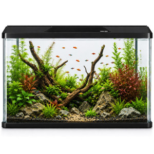Kruger Meier LAORIA Panoramic 600 - akwarium 60l z oświetleniem i pokrywą
