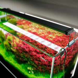 Chihiros B-Series B45 LED Light with Commander - lampa led sterowana aplikacją 45-65cm