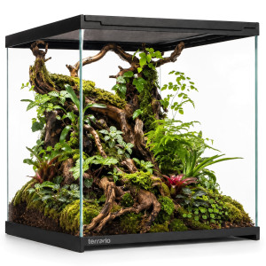 Terrario Frevo Clear Terrarium 30x30x30cm - terrarium szklane