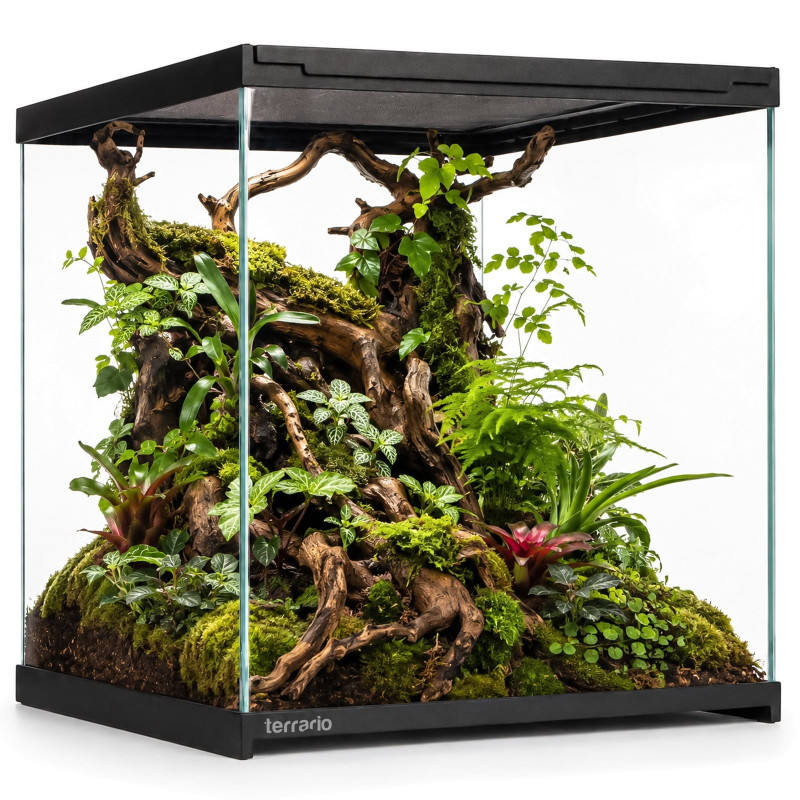 Terrario Frevo Clear Terrarium 30x30x30cm - terrarium szklane