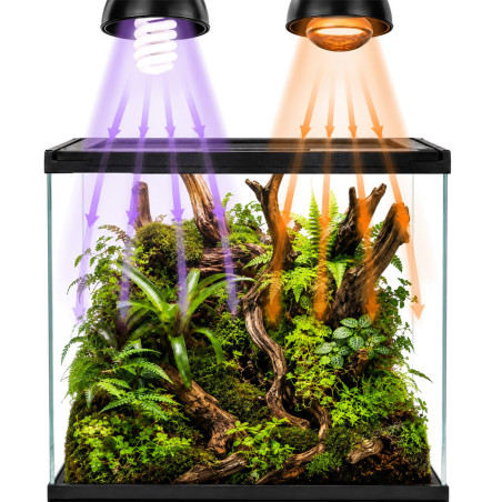 Terrario Frevo Clear Terrarium 30x30x30cm - terrarium szklane