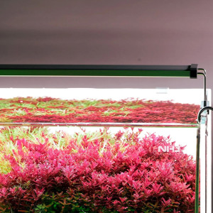 Chihiros B-Series B45 LED Light with Commander - lampa led sterowana aplikacją 45-65cm