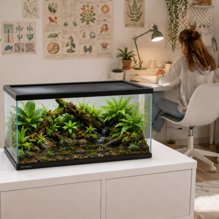 Terrario Frevo Clear Terrarium 50x30x30cm - terrarium szklane