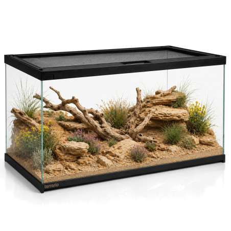 Terrario Frevo Clear Terrarium 50x30x30cm - terrarium szklane