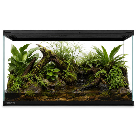 Terrario Frevo Clear Terrarium 50x30x30cm - terrarium szklane