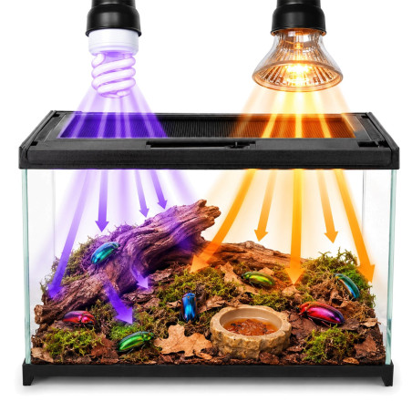 Terrario Frevo Clear Terrarium 30x20x17cm - terrarium szklane