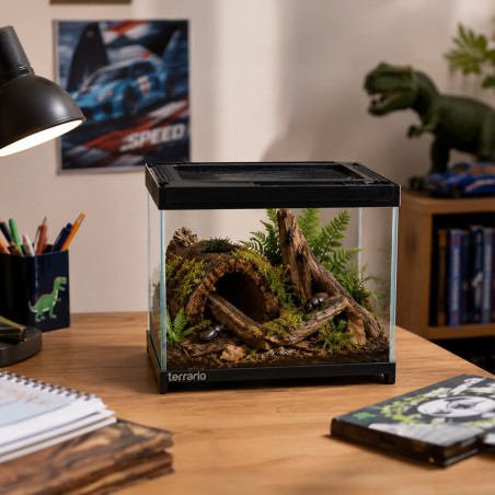 Terrario Frevo Clear Terrarium 20x20x17cm - terrarium szklane