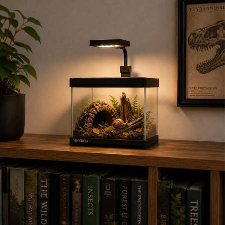 Terrario Frevo Clear Terrarium 20x20x17cm - terrarium szklane