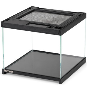 Terrario Frevo Clear Terrarium 20x20x17cm - terrarium szklane