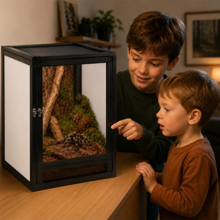 Terrario Nexframe A-line 32x32x46 - terrarium aluminiowe