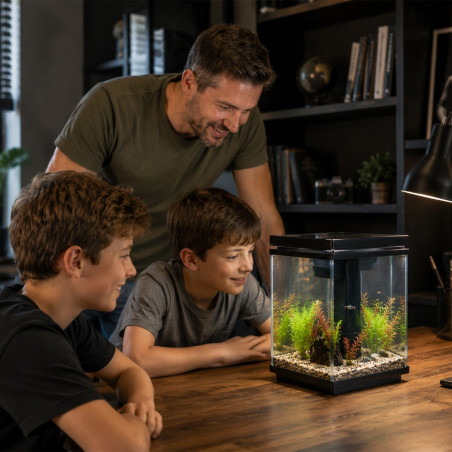 Kruger Meier LUMIQ AquaCube 10l Black - akwarium z filtrem i oświetleniem