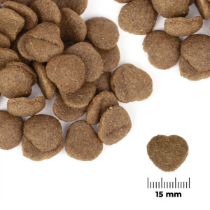 Comfy Appetit Vita Medium&Large Lamb 12kg - karma dla dorosłych psów