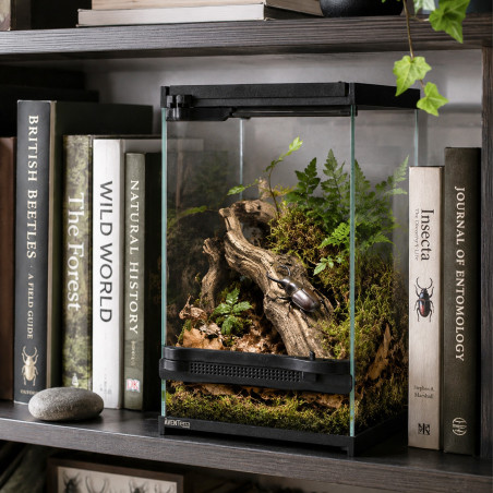 Aventerra Sweden VETRANO 20x20x30 - terrarium szklane