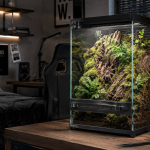 Aventerra Sweden VETRANO 20x20x30 - terrarium szklane