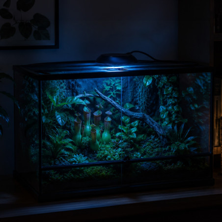 Terrario Nanoray Mini LED 6W - oświetlenie do terrarium 3w1