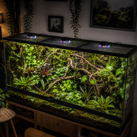 Terrario Nanoray Mini LED 6W - oświetlenie do terrarium 3w1