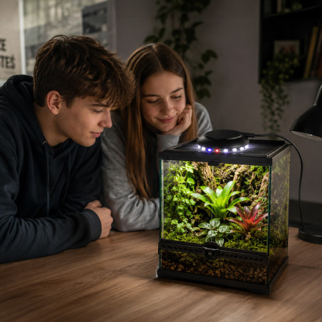 Terrario Nanoray Mini LED 6W - oświetlenie do terrarium 3w1