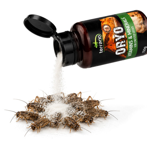 Terrario ORYO for Crested Gecko 150g - Wspiera zdrowie i witalność