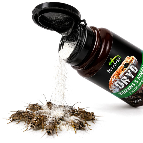 Terrario ORYO for Leopard Gecko 150g - Zdrowe łuski i więcej energii