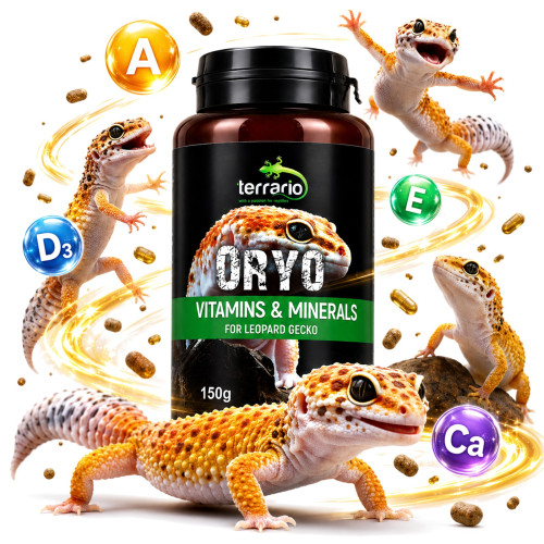Terrario ORYO for Leopard Gecko 150g - Zdrowe łuski i więcej energii