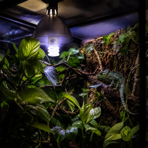 Terrario Erusa Tropical UVB 5.0 - żarówka spiralna 5.0 26W | Idealna dla gadów tropikalnych