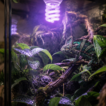 Terrario Erusa Tropical UVB 5.0 - żarówka spiralna 5.0 26W | Idealna dla gadów tropikalnych