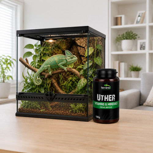 Terrario UTHER for Reptiles 150g - Zdrowe łuski i energia