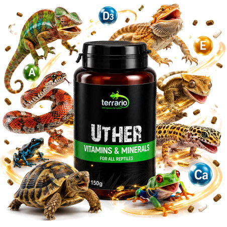 Terrario UTHER for Reptiles 150g - Zdrowe łuski i energia