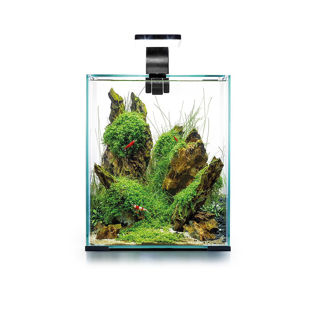 Aquael Shrimp Set Day&Night 30L White - zestaw akwarystyczny