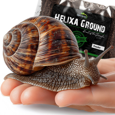 Terrario Helixa Ground 5l - podłoże dla ślimaków