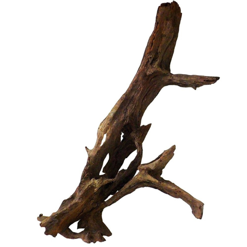 Philippines Classic Driftwood - drzewo mangrowca z wody XXL 70cm - 110cm – naturalna dekoracja akwarium i skuteczne obniżenie pH