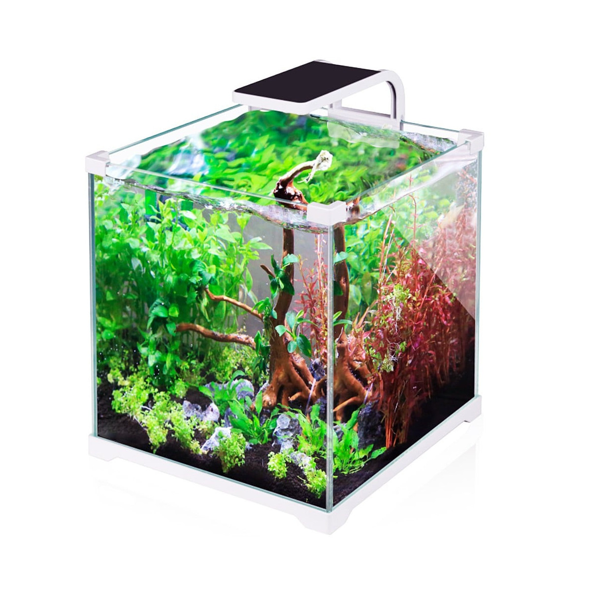 SunSun O!-LED Aqua - zestaw akwarium 15l – kompaktowe, łatwe w obsłudze akwarium do domu i biura
