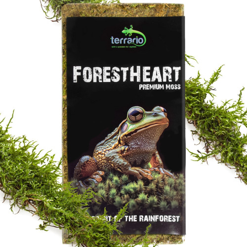 Terrario ForestHeart Sphagnum Moss - mech torfowiec 100g