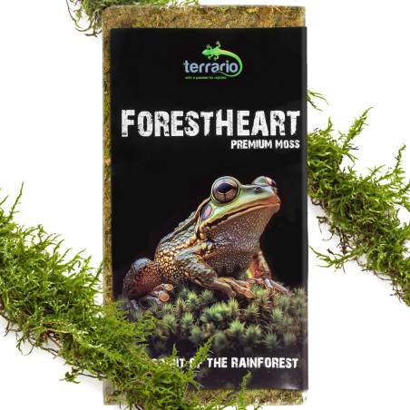 Terrario ForestHeart Sphagnum Moss - mech torfowiec 100g