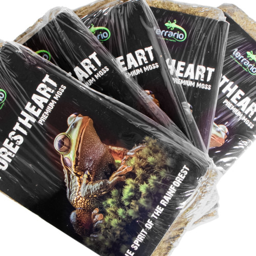 Terrario ForestHeart Sphagnum Moss - mech torfowiec 100g